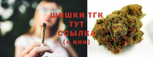 амф Козловка
