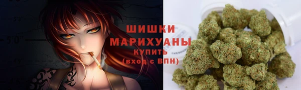 амф Козловка