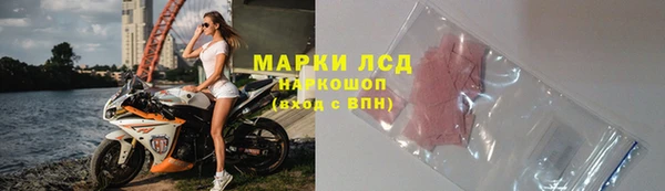 ГАЛЛЮЦИНОГЕННЫЕ ГРИБЫ Костерёво