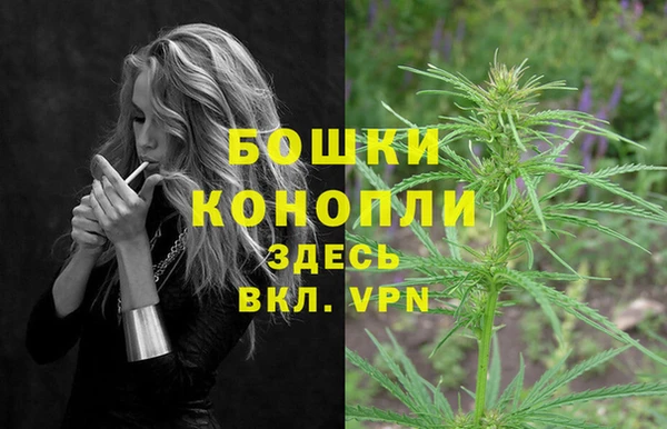 дмт Козельск