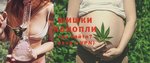 амф Козловка
